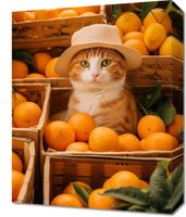 Obraz 40x50cm Kot w Pomarańczach
