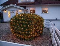 Szwedzka Siatka LED 2x2mb na drzewa/krzewy Ciepłe 2000K Eglo 410827