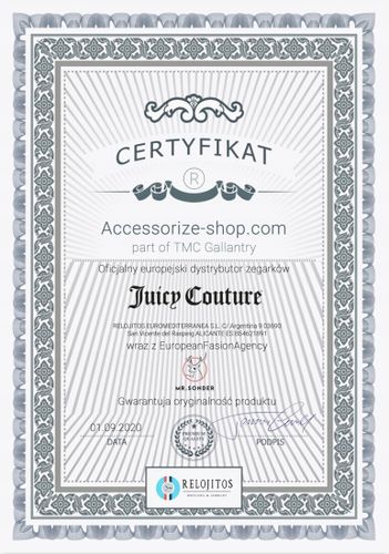 Zegarek JUICY COUTURE JC1313SVTT. Kwarcowy, Kolor srebrny. Kobieta. na Arena.pl
