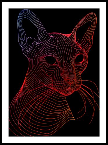 Plakat 42x59,4cm Cyfrowa Kocica na Arena.pl