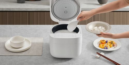 Ryżowar XIAOMI Smart Multifunctional Rice Cooker EU na Arena.pl