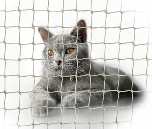 ZESTAW SIATKA NA BALKON 6x3 DLA KOTA Z DRUCIKIEM PREMIUM 110g BEZ WIERCENIA na Arena.pl