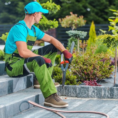 BĘBEN ZWIJACZ NA WĄŻ OGRODOWY AUTOMATYCZNY ZWIJACZ + 20M WĘŻA BLACK LINE na Arena.pl