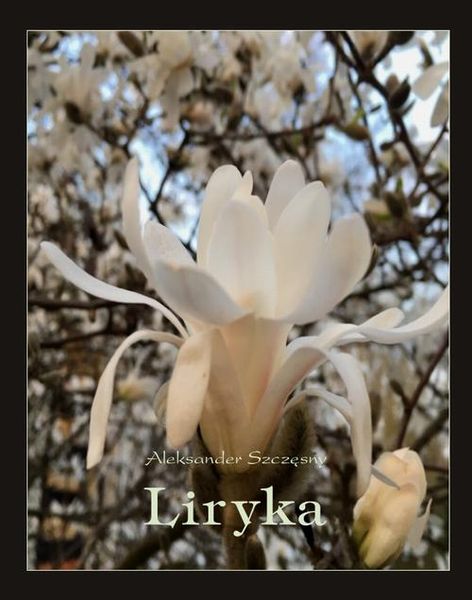 (epub, mobi) Liryka zdjęcie 1