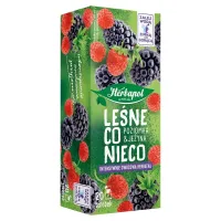 HERBAPOL HERBATA OWOCOWA 20TB LEŚNE CO NIECO POZIOMKA-JEŻYNA