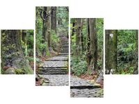 OBRAZ JAPOŃSKA ŚCIEŻKA PRZEZ LAS