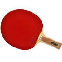 Rakietka do ping ponga Atemi 3000 Carbon anatomical