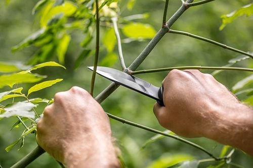 nóż taktyczny full-tang 22cm. - t n63-108 na Arena.pl