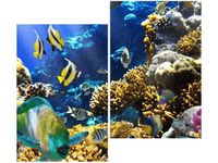 80X70CM RAFA KORALOWA DUO OBRAZ