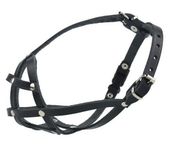 Champion Kaganiec Skórzany Dla Buldoga Francuskiego 2 [Bf]