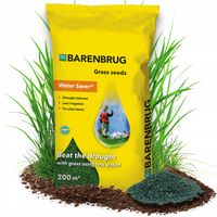 TRAWA ODPORNA NA SUSZĘ TERENY SUCHE SAHARA BARENBRUG WATERSAVER 5 KG