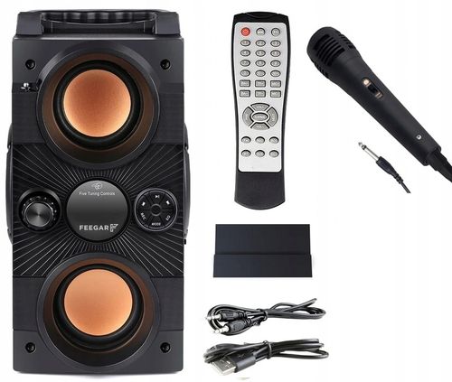Głośnik przenośny Feegar DANCE czarny 30 W bluetooth na Arena.pl