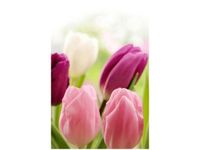 40X60CM SOCZYSTE TULIPANY OBRAZ