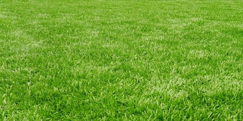 Wysokoazotowy nawóz do trawnika Vegano wspierany naturą 3x8 kg Target 24 kg na Arena.pl