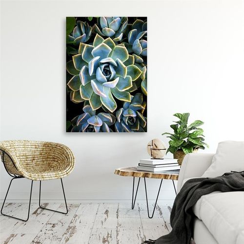 Plakat, Modne kaktusy succulent 60x80 na Arena.pl