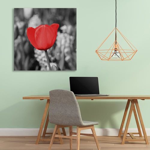 Deco Panel, Czerwony tulipan na łące 90x90 na Arena.pl