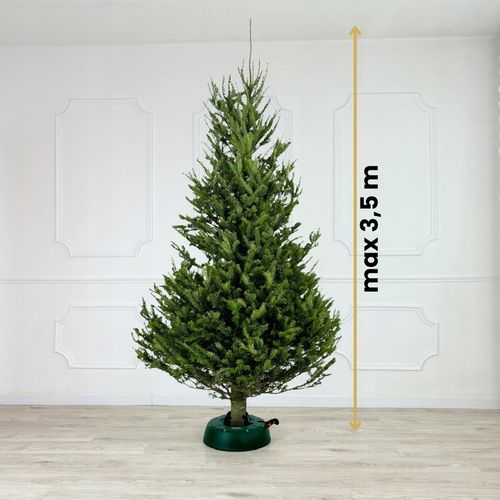 STOJAK CHOINKOWY SAMOZACISKOWY PODSTAWKA NA ŻYWĄ CHOINKĘ, WYSOKOŚĆ DO 3,5 M na Arena.pl