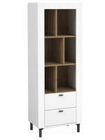 Nowoczesny Regał Otwarty 60 cm Biały 2 Sz ROSA DL 3 kolory