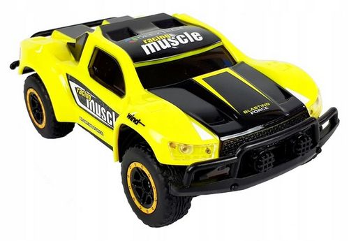 AUTO Samochód Sterowany RC Pilot Deextech na Arena.pl