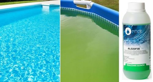 CHEMIA ANTYGLON ŚRODEK NA GLONY 1L BASENU JACUZZI KRYSTALIZATOR CHLOR na Arena.pl