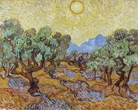 Plakat 50x40cm Olive Trees, Van Gogh Vintage do Salonu
