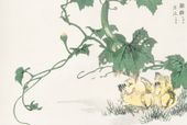 Plakat 45x30cm Chick, Kashu Japoński Vintage do Salonu