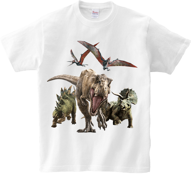 Koszulka T-shirt Dinozaury zdjęcie 1