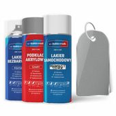 lakier samochodowy w sprayu zestaw naprawczy ford moondust silver