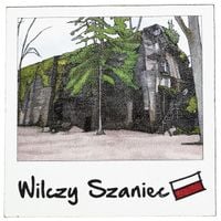Magnes Wilczy Szaniec - polaroid (szary)
