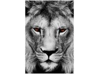 40X60CM LWIE SPOJRZENIE OBRAZ