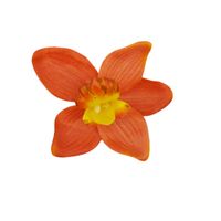 Storczyk wyrobowy pomarańczowo- żółty 12 szt