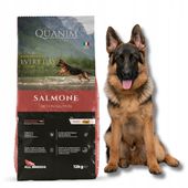 QUANIM ŁOSOŚ RYŻ RYBA 12KG KARMA OWCZAREK LAMBRADOR HUSKY BEAGLE AMSTAFF