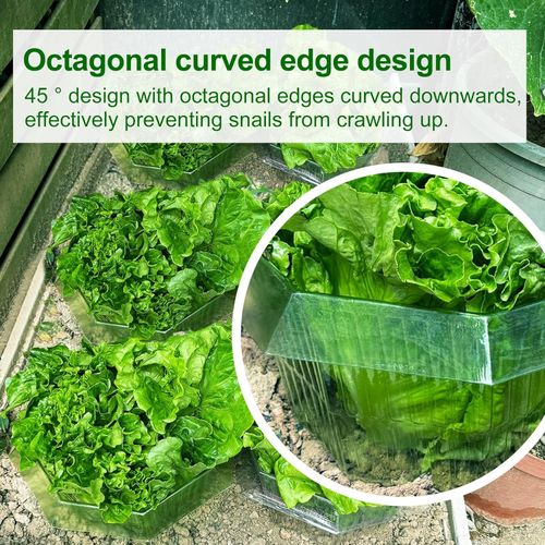 Obroże Kołnierze Przeciw Ślimakom 20 Sztuk 24 cm Ochrona Roślin Warzyw na Arena.pl