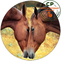 Opłatek na tort Konie