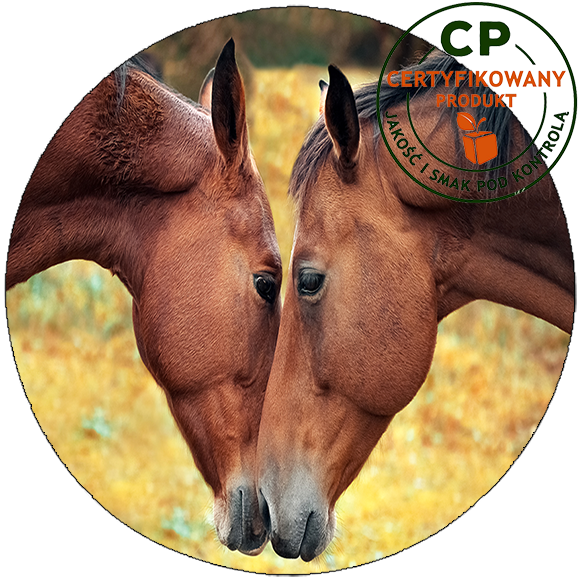 Opłatek na tort Konie zdjęcie 1