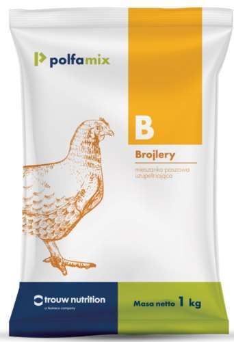 Polfamix B 1kg na Arena.pl