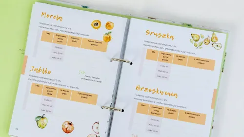 Planer rozszerzania diety na Arena.pl