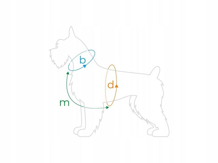 AMIPLAY SZELKI GUARD SAMBA M CZARNY zdjęcie 4