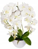 Storczyk sztuczny gumowy jak żywy biały kwiaty orchidea 60cm w doniczce