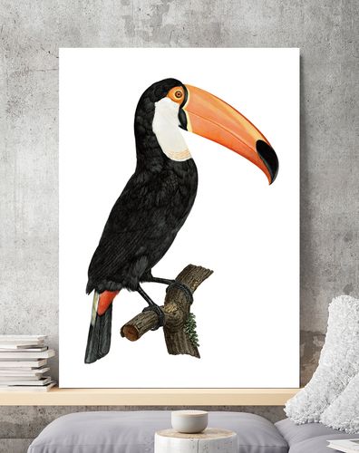 Plakat tukan ptak vintage 21x29,7 cm A4 na Arena.pl