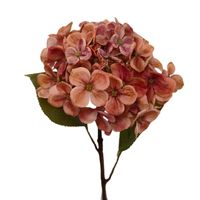 product-compare-61190739