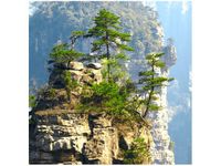 50X50CM WIDOK GÓRY OBRAZ