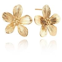 product-compare-62343189