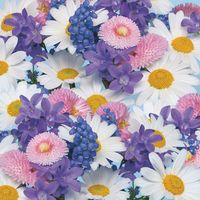 serwetki daisy wiosna 004901