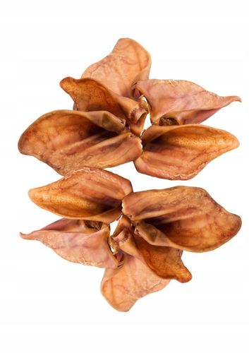 Przysmak, naturalny gryzak dla psa Ucho Wieprzowe Petmex 10 szt. na Arena.pl