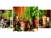 product-compare-58644148