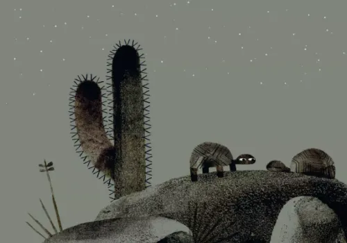 O! Kapelusz! na Arena.pl