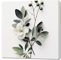 product-compare-59476940