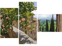 100CM 80 OBRAZ 3 ELEM RÓŻE BALKONIE ŚCIENNY