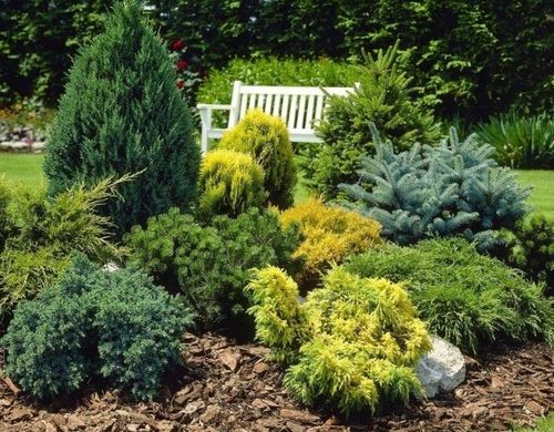 SUBSTRAL 100dni DO IGLAKÓW 10kg NAWÓZ TUJE BORÓWKI na Arena.pl